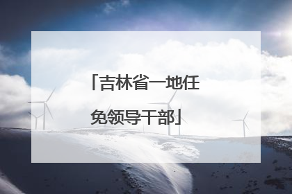 吉林省一地任免领导干部