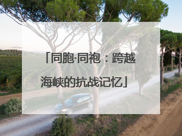 同胞·同袍：跨越海峡的抗战记忆