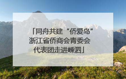 同舟共建“侨爱岛” 浙江省侨商会青委会代表团走进嵊泗