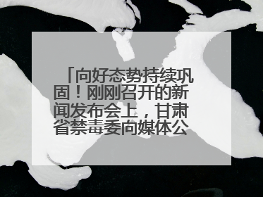 向好态势持续巩固！刚刚召开的新闻发布会上，甘肃省禁毒委向媒体公布三年禁毒工作“成绩单”