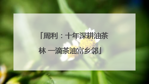 周利：十年深耕油茶林 一滴茶油富乡邻
