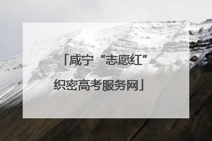 咸宁“志愿红”织密高考服务网
