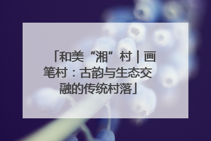 和美“湘”村｜画笔村：古韵与生态交融的传统村落
