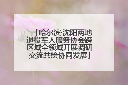 哈尔滨·沈阳两地退役军人服务协会跨区域全领域开展调研交流共绘协同发展