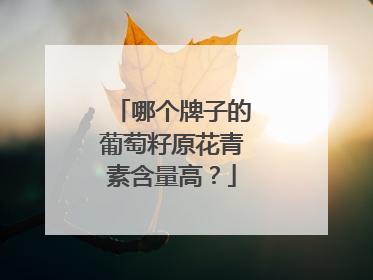 哪个牌子的葡萄籽原花青素含量高？