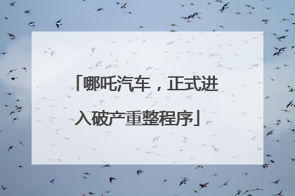 哪吒汽车，正式进入破产重整程序