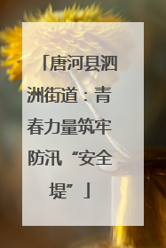 唐河县泗洲街道：青春力量筑牢防汛“安全堤”