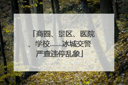 商圈、景区、医院、学校……冰城交警严查违停乱象