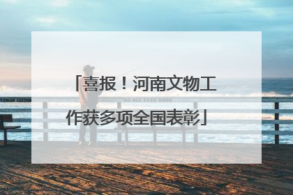 喜报！河南文物工作获多项全国表彰