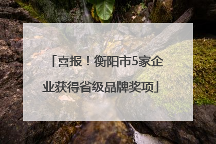 喜报！衡阳市5家企业获得省级品牌奖项
