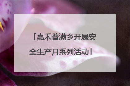 嘉禾普满乡开展安全生产月系列活动