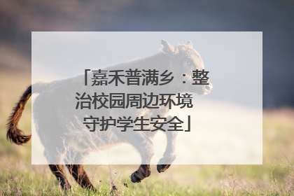 嘉禾普满乡：整治校园周边环境 守护学生安全