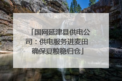 国网延津县供电公司：供电服务进麦田 确保夏粮稳归仓