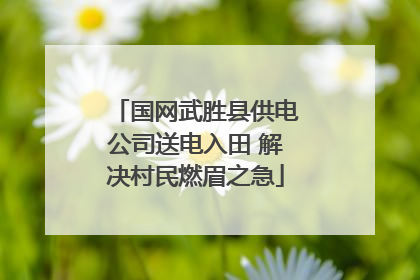 国网武胜县供电公司送电入田 解决村民燃眉之急