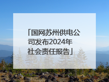 国网苏州供电公司发布2024年社会责任报告