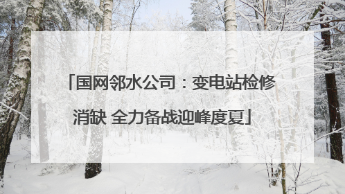 国网邻水公司：变电站检修消缺 全力备战迎峰度夏