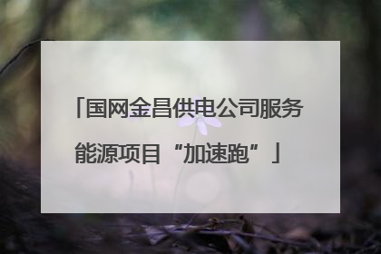 国网金昌供电公司服务能源项目“加速跑”