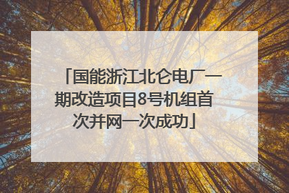 国能浙江北仑电厂一期改造项目8号机组首次并网一次成功