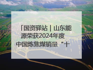 国资驿站｜山东能源荣获2024年度中国炼焦煤销量“十强”；全国首例铁路盖上智慧物流园钢结构主体完工