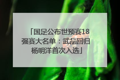 国足公布世预赛18强赛大名单：武磊回归 杨明洋首次入选