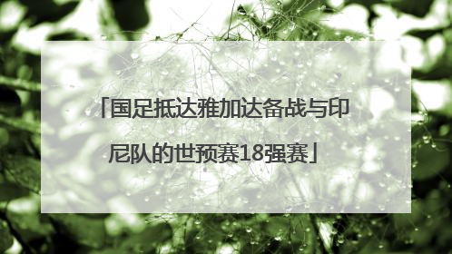 国足抵达雅加达备战与印尼队的世预赛18强赛