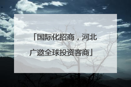 国际化招商，河北广邀全球投资客商