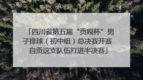 四川省第五届“贡嘎杯”男子排球（初中组）总决赛开赛 自贡这支队伍打进半决赛