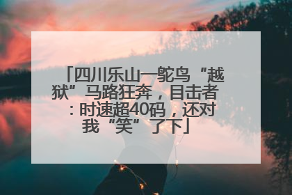 四川乐山一鸵鸟“越狱”马路狂奔，目击者：时速超40码，还对我“笑”了下