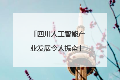 四川人工智能产业发展令人振奋