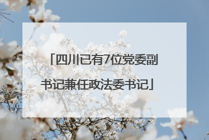 四川已有7位党委副书记兼任政法委书记