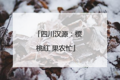 四川汉源：樱桃红 果农忙