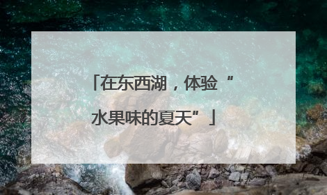 在东西湖，体验“水果味的夏天”