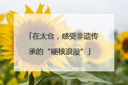 在太仓，感受非遗传承的“硬核浪漫”
