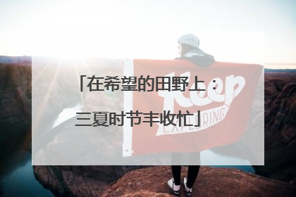 在希望的田野上：三夏时节丰收忙