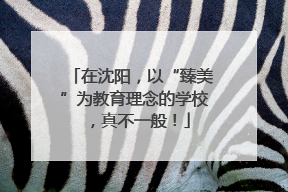在沈阳，以“臻美”为教育理念的学校，真不一般！