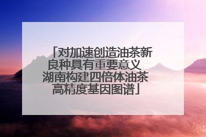 对加速创造油茶新良种具有重要意义 湖南构建四倍体油茶高精度基因图谱