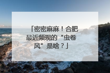 密密麻麻！合肥最近频现的“虫卷风”是啥？