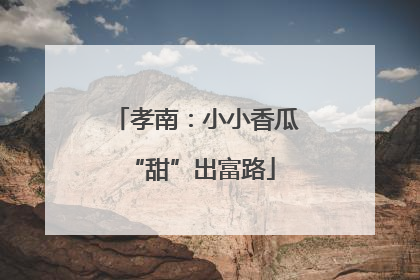 孝南：小小香瓜 “甜”出富路