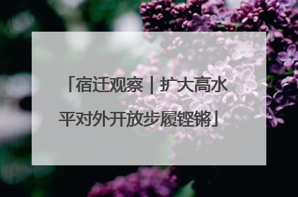 宿迁观察｜扩大高水平对外开放步履铿锵
