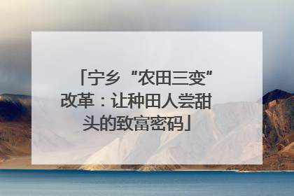 宁乡“农田三变”改革：让种田人尝甜头的致富密码