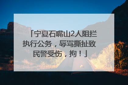 宁夏石嘴山2人阻拦执行公务，辱骂撕扯致民警受伤，拘！