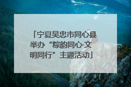 宁夏吴忠市同心县举办“粽韵同心·文明同行”主题活动