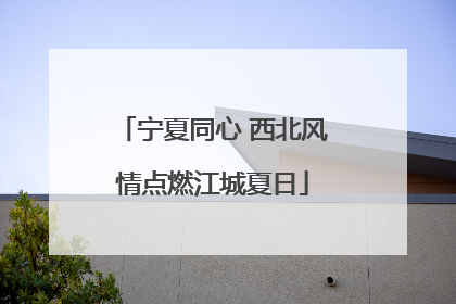 宁夏同心 西北风情点燃江城夏日