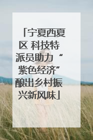 宁夏西夏区 科技特派员助力“紫色经济”酿出乡村振兴新风味
