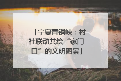 宁夏青铜峡：村社联动共绘“家门口”的文明图景
