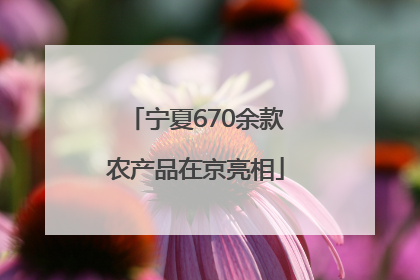 宁夏670余款农产品在京亮相