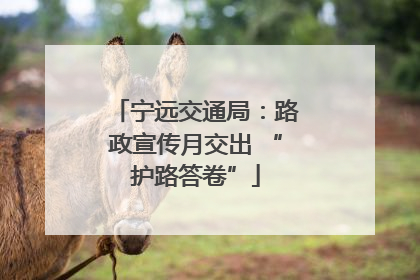 宁远交通局：路政宣传月交出 “护路答卷”