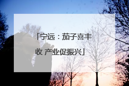 宁远：茄子喜丰收 产业促振兴