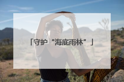 守护“海底雨林”