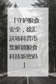 守护粮食安全，徐汇这场科普市集解锁粮食科技新密码